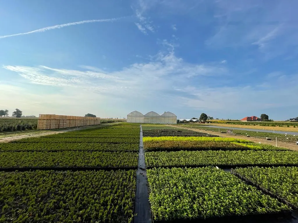 Вид из питомника Marcinców 6