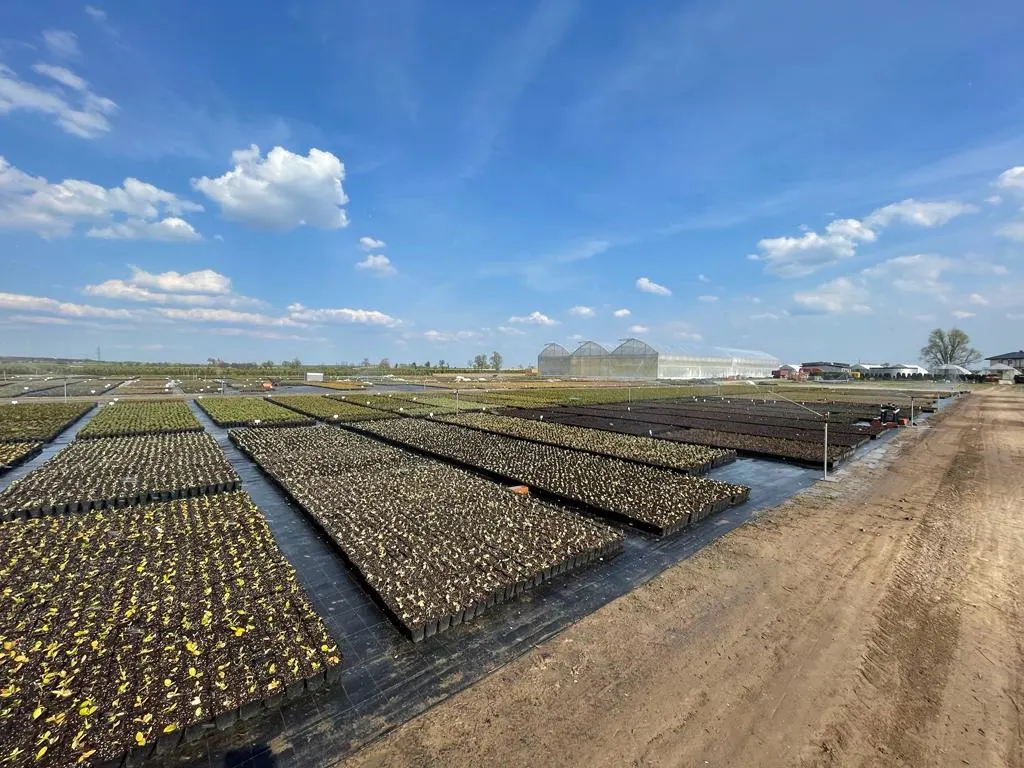 Вид из питомника Марцинкув 11